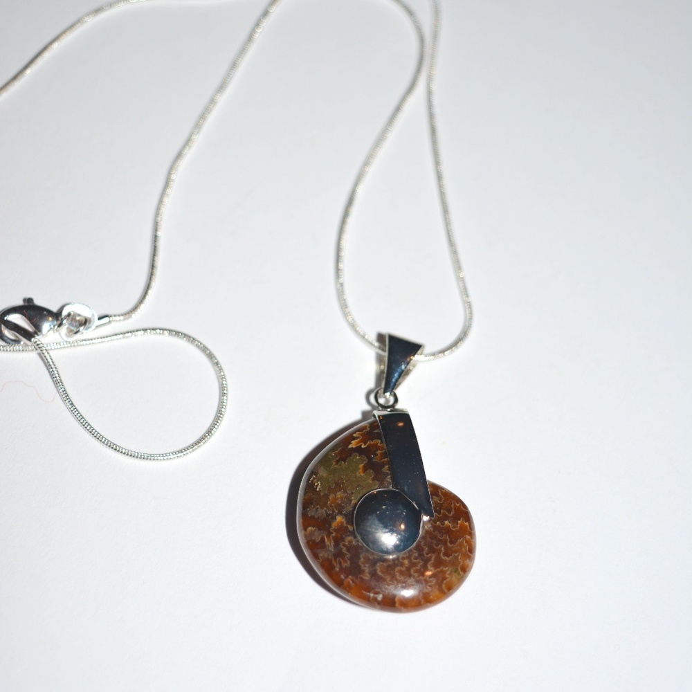 Ammonite Shell Necklace Fossil Silver Boho